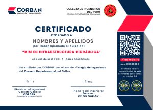 MODELO CIP (COLEGIO DE INGENIEROS9